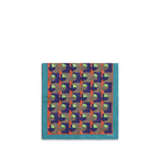 Multicolour Silk Scarf