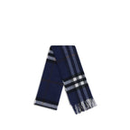 Blue Scarf